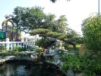 咖啡店探店VLOG文章介绍