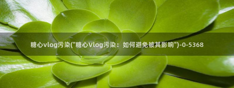 糖心vlog台湾