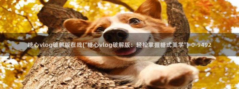 国产糖心vlog在线观看：糖心vlog破解版在线(\
