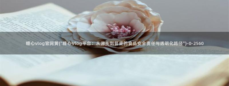 糖心vlog免费看
