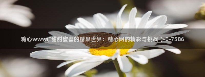 糖心vlog破解版v3.3.0：糖心www(\