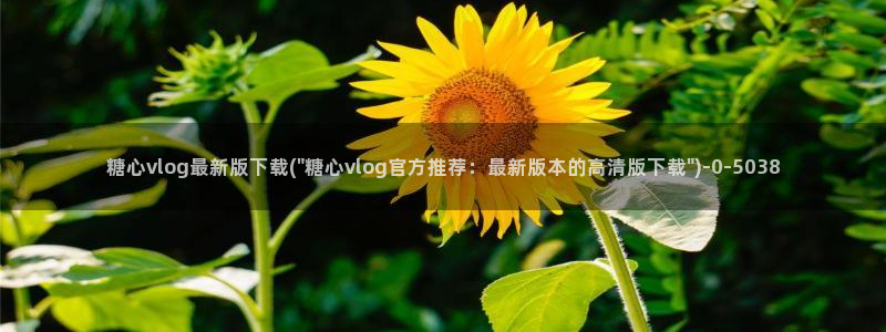 糖心vlog的正确写：糖心vlog最新版下载(\