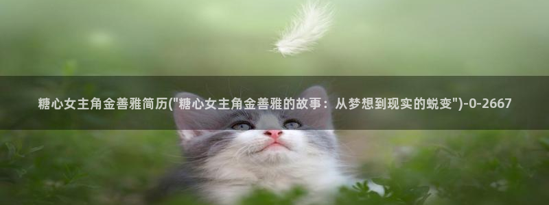 成人糖心vlog下载