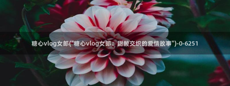 糖心vlog下载入口
