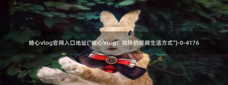 心糖vlogo