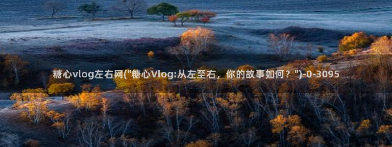 糖心vlog免费账号