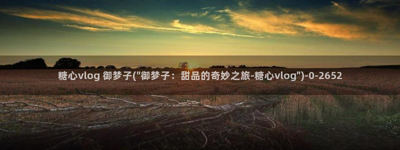 心糖vlog入口