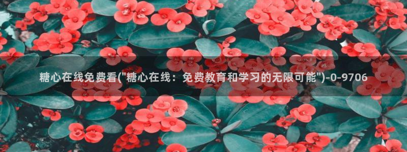 心糖的vlog
